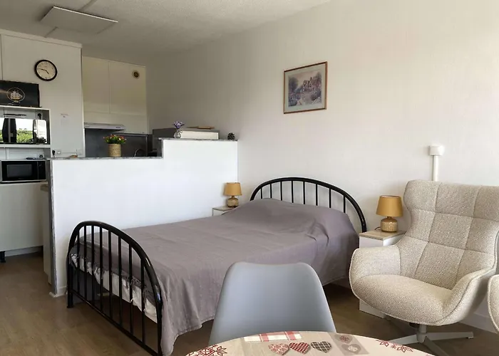 Vue Parc Avec Climatisation - Fr-1-553-305 Appartement